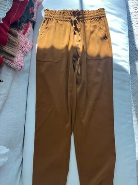 Zara Drawstring Jogger Pants in Brown